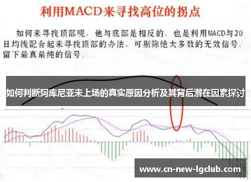 如何判断阿库尼亚未上场的真实原因分析及其背后潜在因素探讨