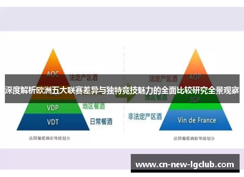 深度解析欧洲五大联赛差异与独特竞技魅力的全面比较研究全景观察 深度解析欧洲五大联赛差异与独特竞技魅力的全面比较研究全景观察