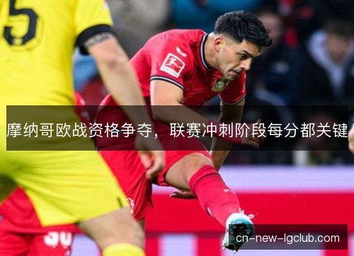 摩纳哥欧战资格争夺,联赛冲刺阶段每分都关键 摩纳哥欧战资格争夺,联赛冲刺阶段每分都关键